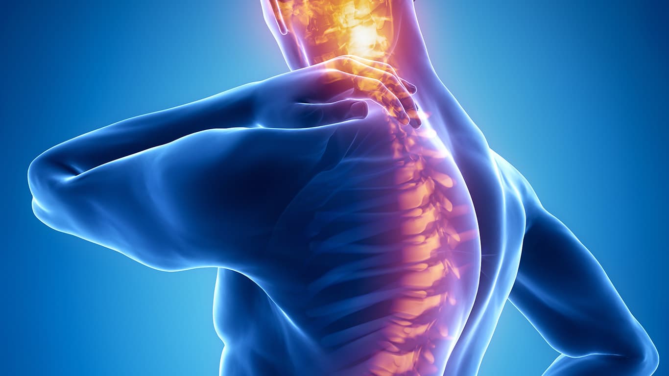 Effective Strategies for Finding the Best North Side Edmonton Physiotherapy Services