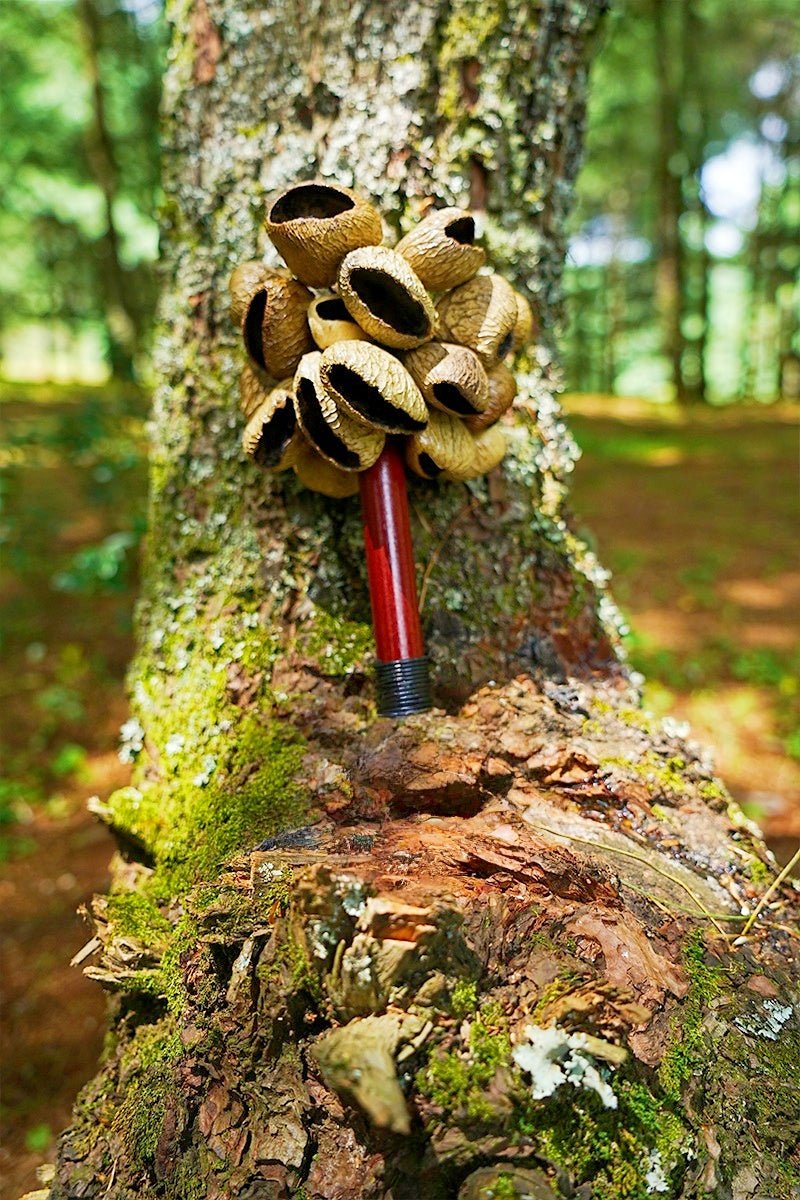 Handmade Wind Chime Decor Inspired by Tropical Rainforest Nature
