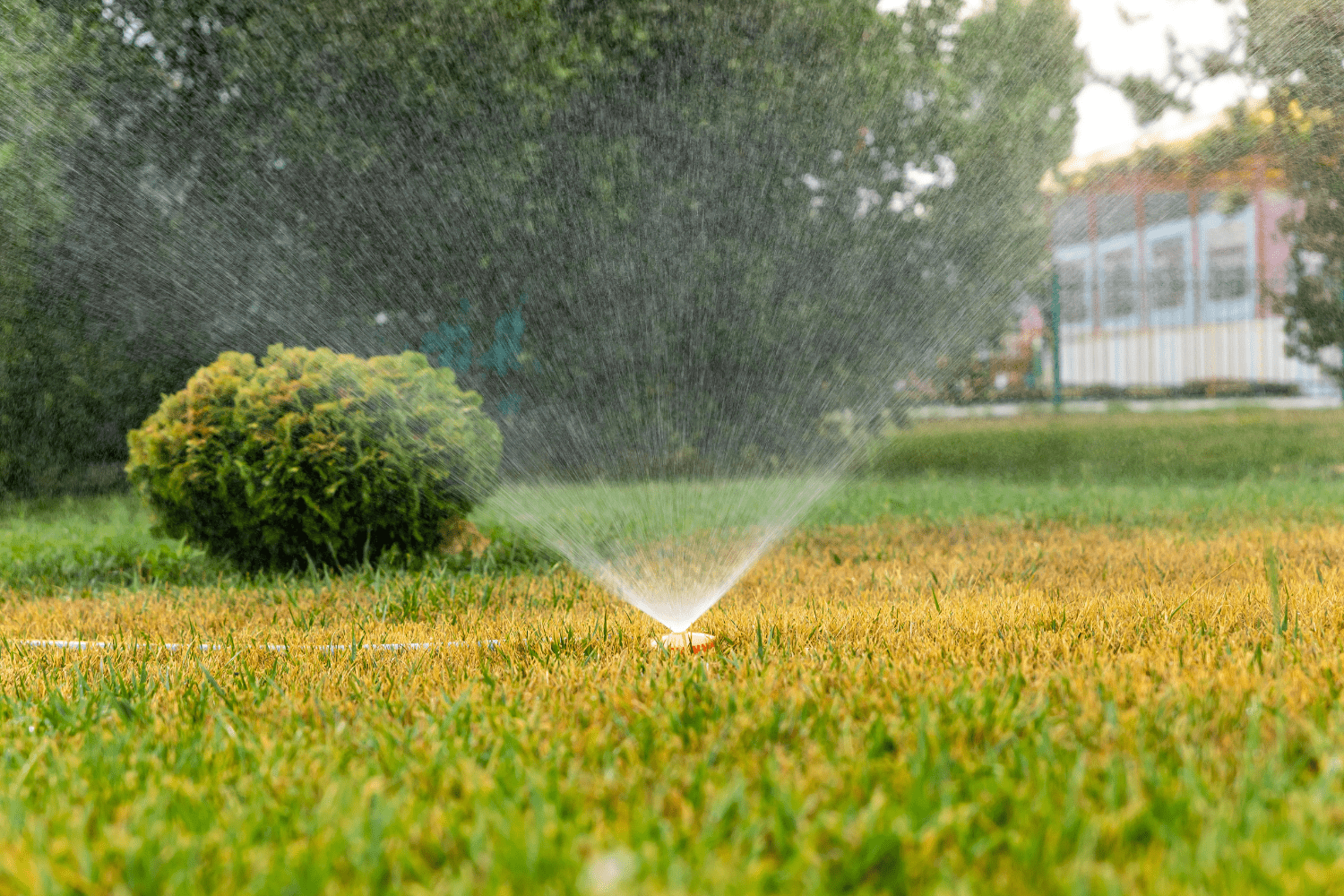 Professional Irrigation Services in Benbrook, TX Backed by Experience