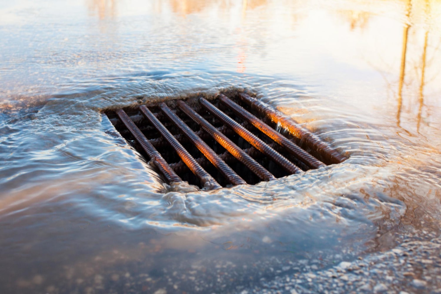 Expert Drainage Services in Springtown, TX – Reliable Water Control Solutions