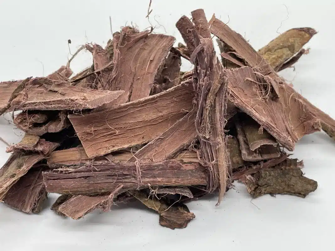 Jurema Root Bark for Traditional Crafts