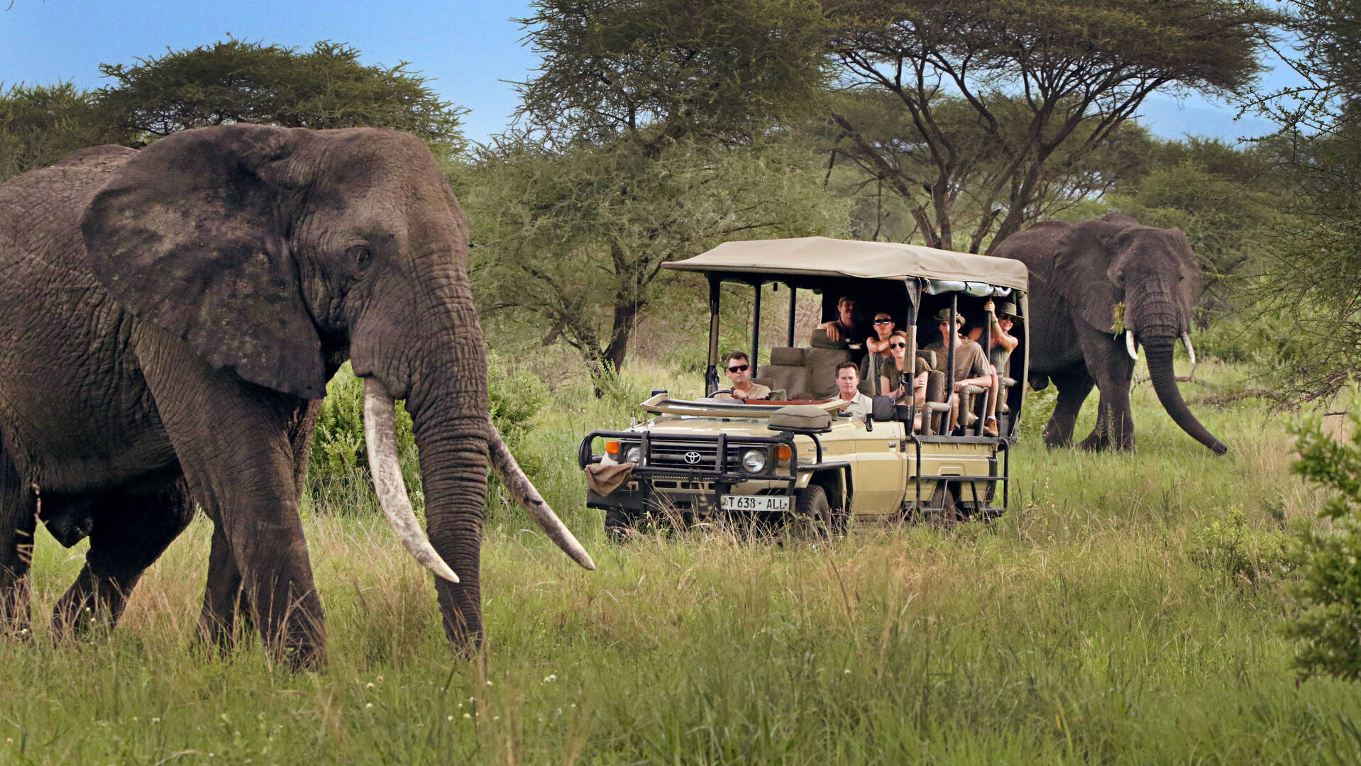 Tanzania Safari with Personalized Planning and Local Guides