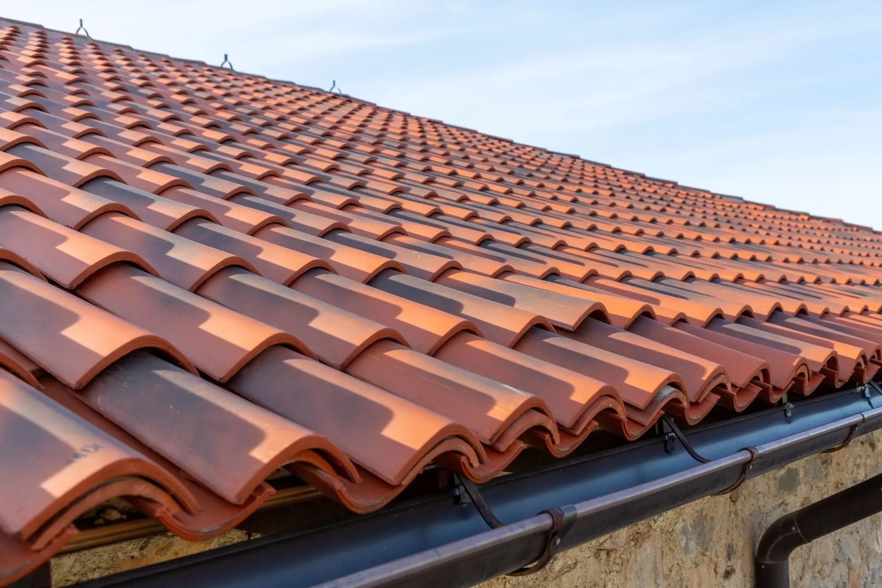 How Metal Roofing Increases Home Value and Curb Appeal