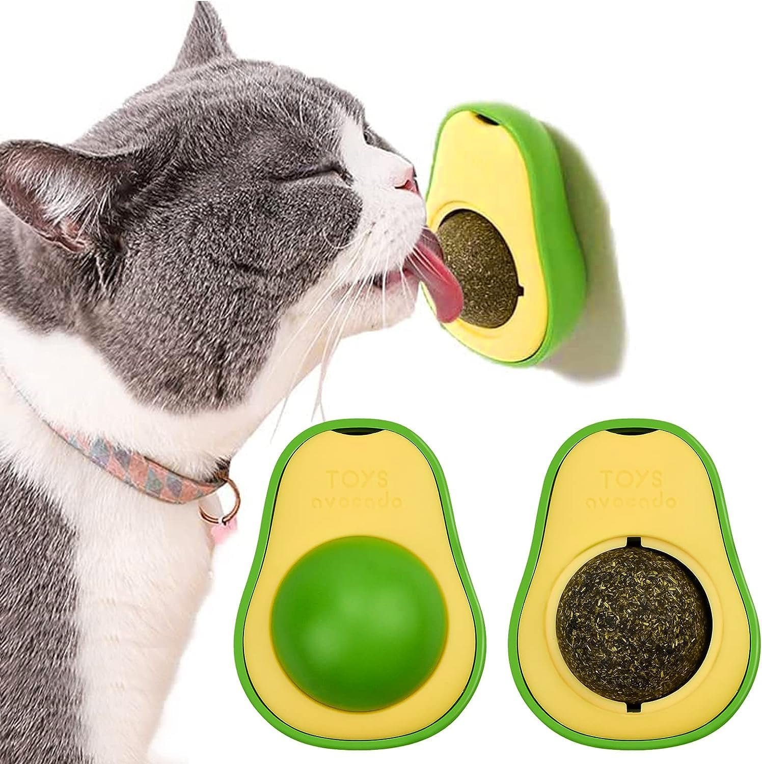 Kitten Bottle – Convenient Feeding Solutions at Catshoponline