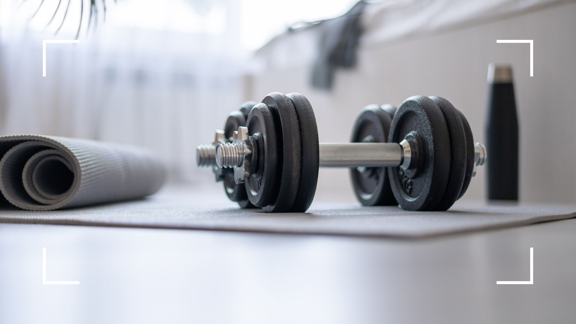 Best Dumbbell Rack – Space-Saving Storage for Any Gym | YINUO SPORT