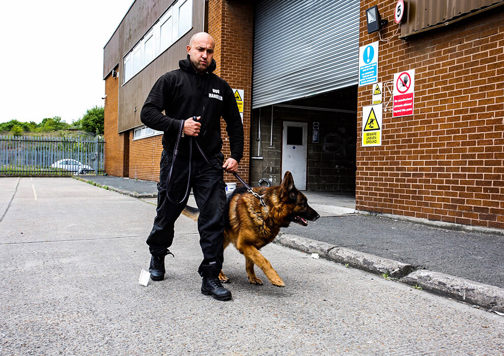ISA Support Services: Efficient Security Dog Services in Leicester for Maximum Protection