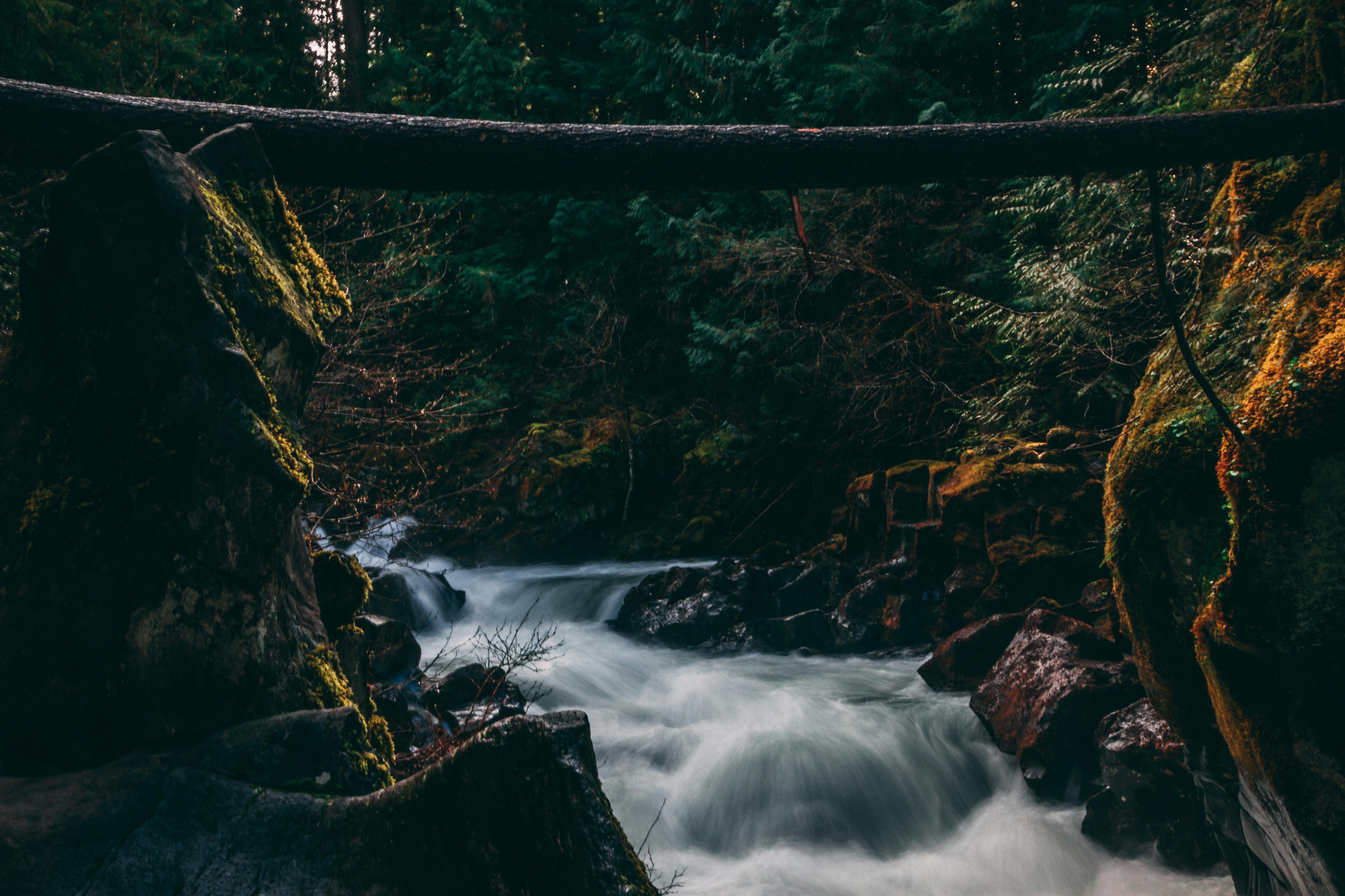 Multnomah: A Scenic Gem of Oregon’s Columbia River Gorge