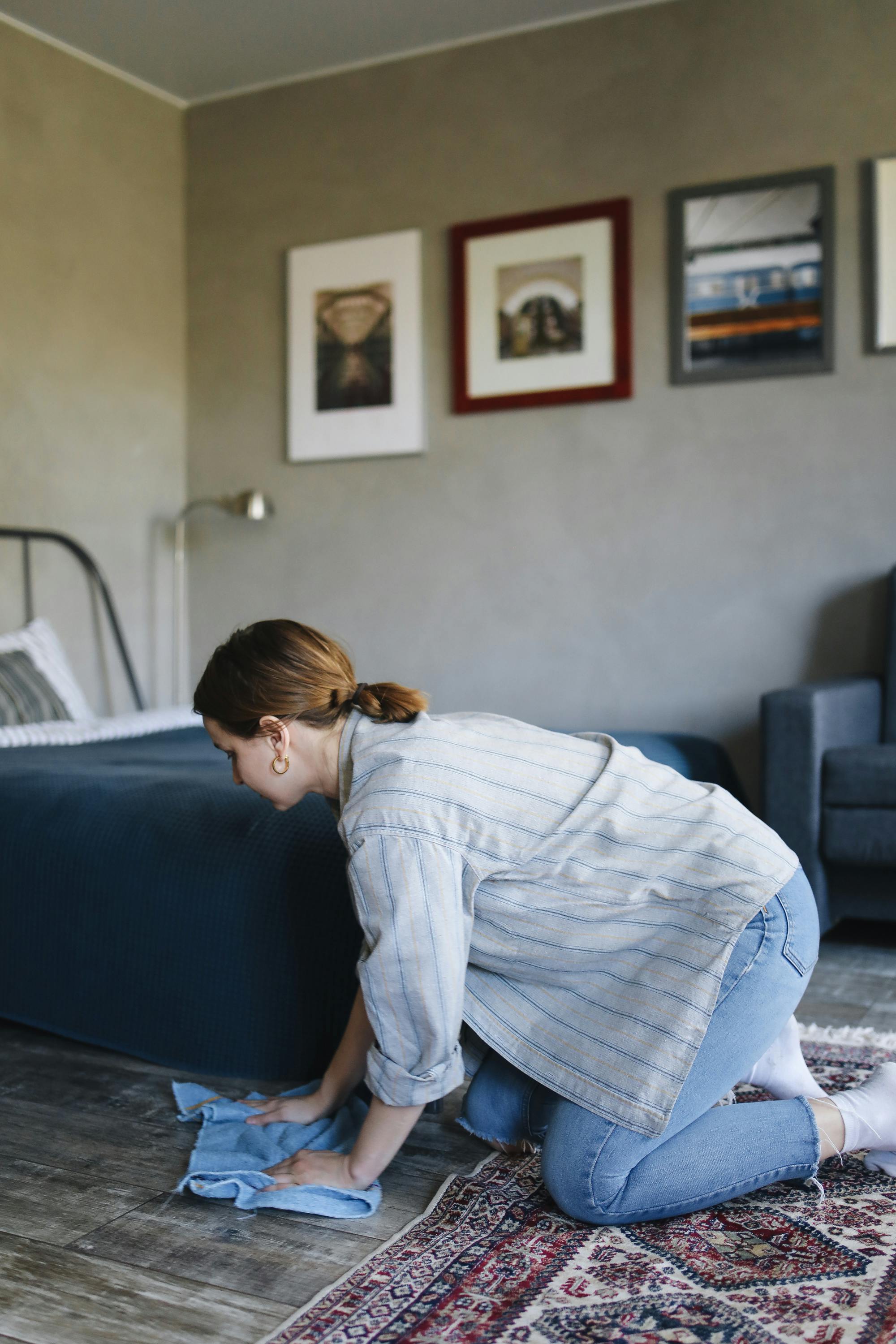 Carpet Cleaning Dubai Services for Pet Stains &amp; Odors