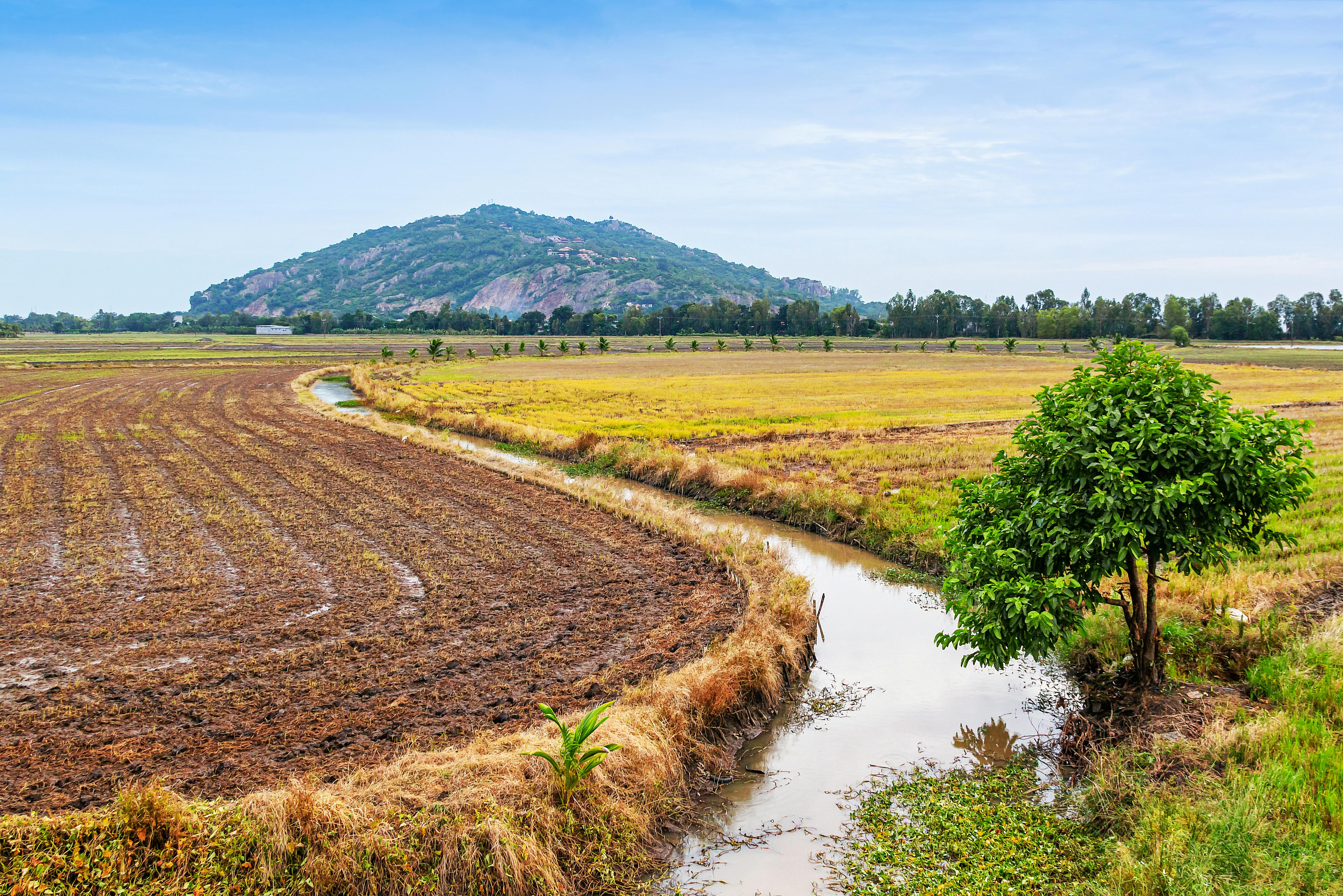 EXPERT PROFESSIONAL IRRIGATION SERVICES IN LAKE WORTH, TX