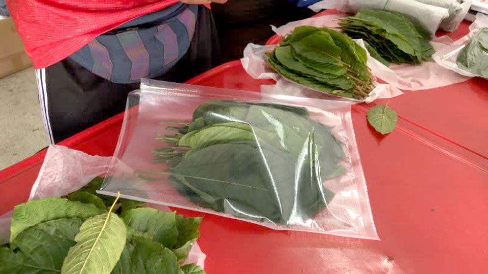 Buy Kratom Thailand: Reviews of the Best Vendors