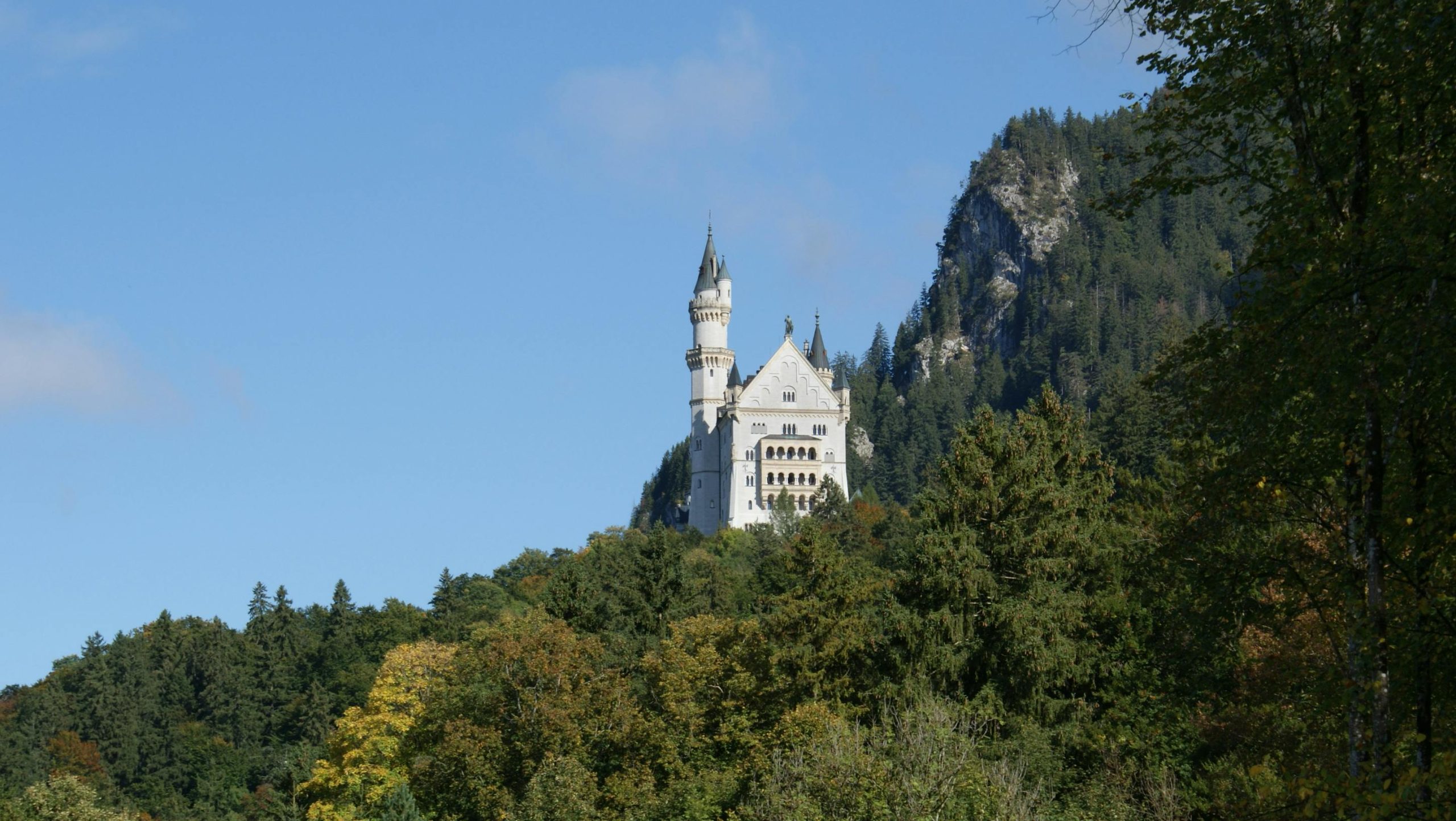 Cool Trails Near Me to Discover Local Fauna and Landscapes